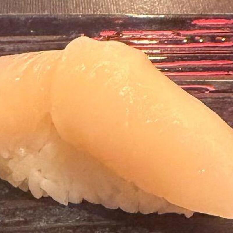 Scallop